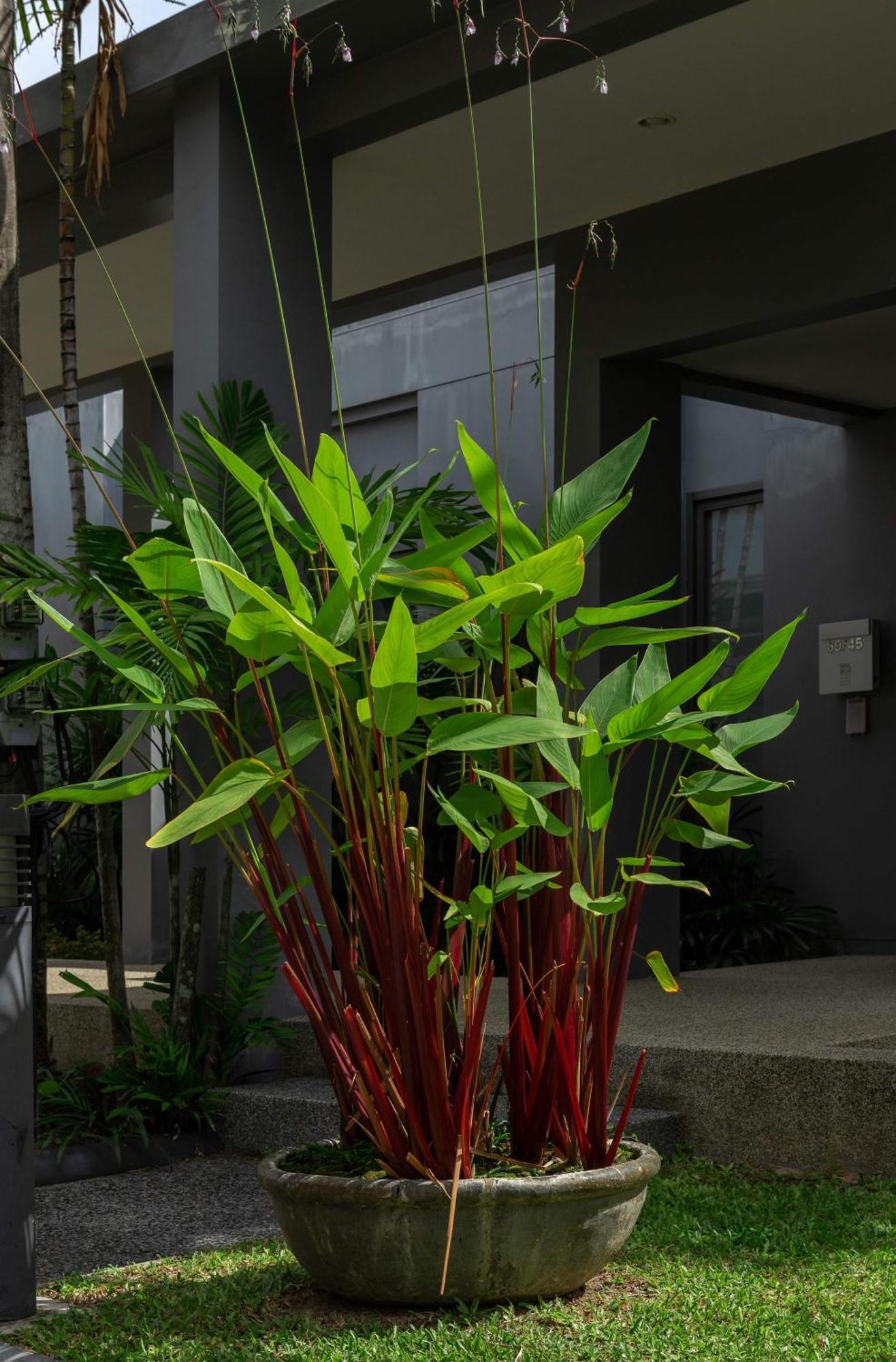 Villa Galam | Private Pool | Onyx Villas By Tropiclook | Naiharn Beach Nai Harn Exterior foto